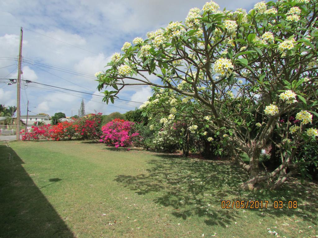 Ferienwohnung Spectacular Ocean View Retreat Saint James Exterior foto